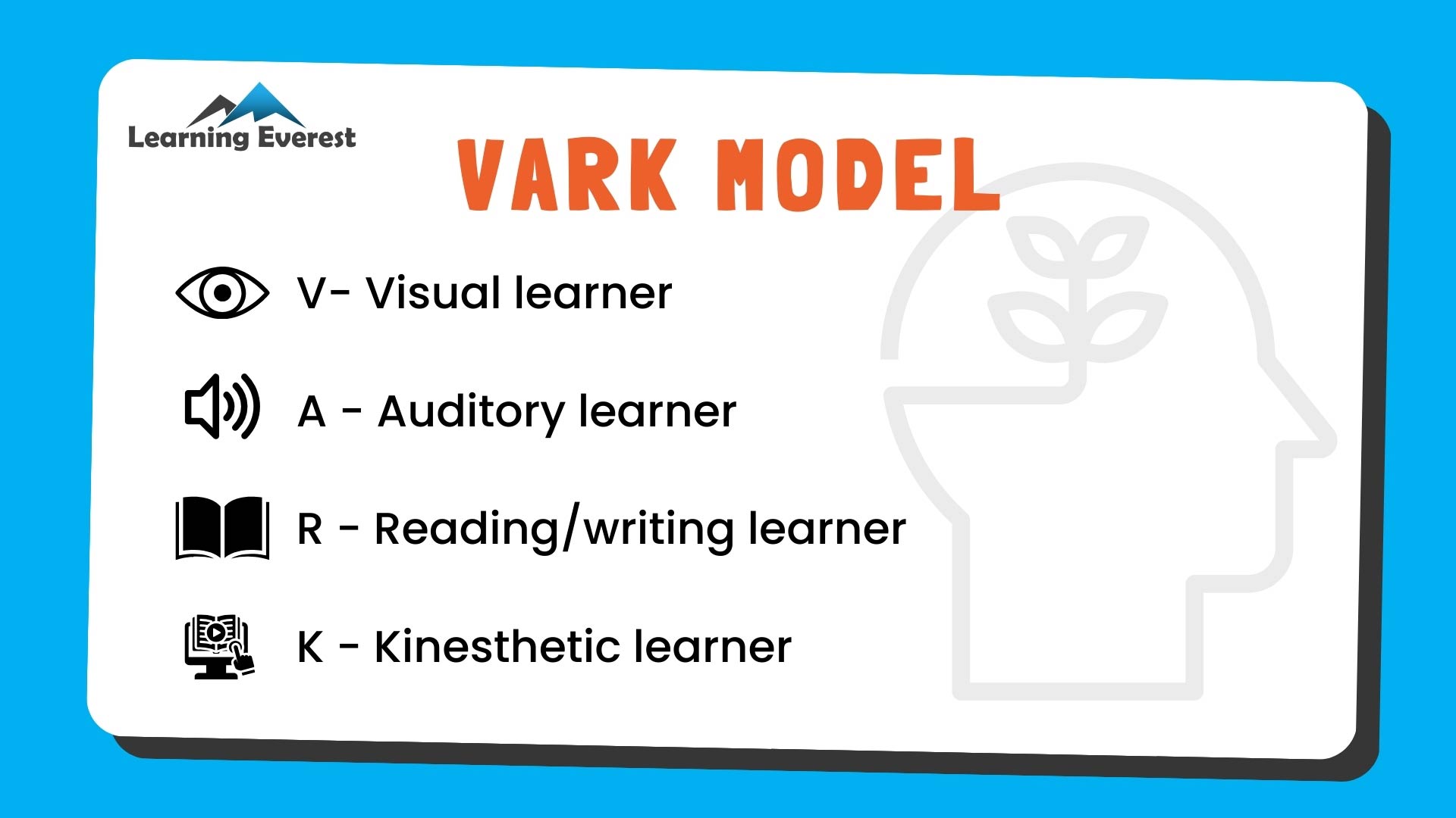 Multiple Modality Learning - Vark Model